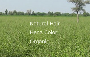 オーガニック原料・ヘナでナチュラルな髪を創ります